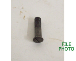 Guard Screw - Front - Original